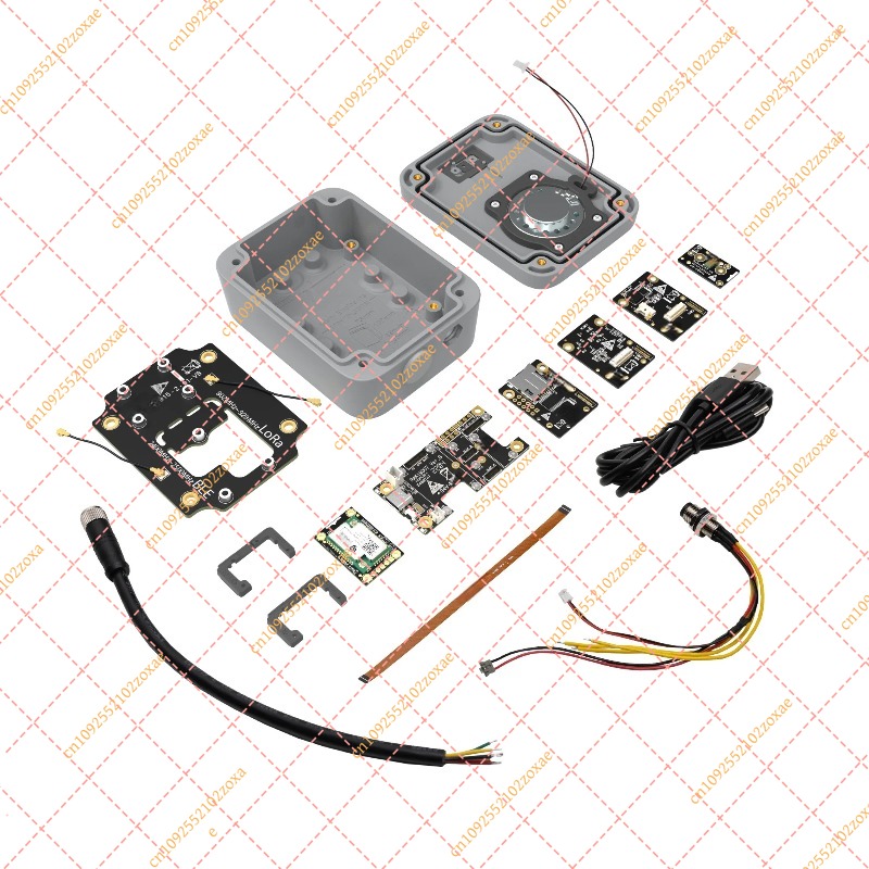 Home Automation Diy Kit - Ses İşleme Başlangıç ​​Kiti RAK10713 Akıllı
